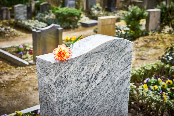 Red carnation on gravestone / Tombstone